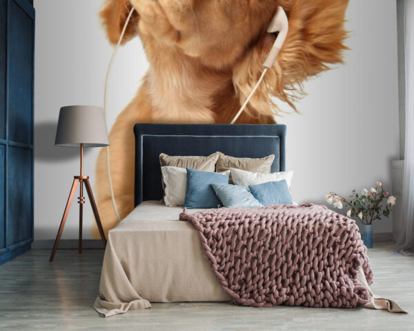 Chien avec écouteurs u56551pib87 600x480 - Chien avec écouteurs - tegory