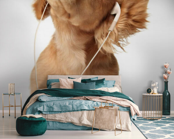 Chien avec écouteurs u56551pib111m 600x480 - Chien avec écouteurs - tegory