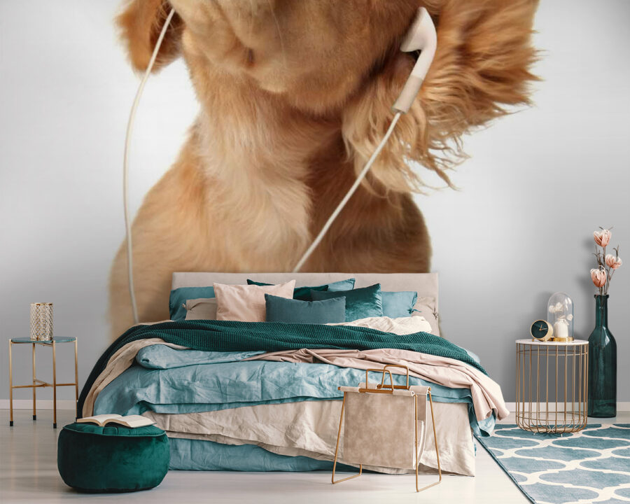 Chien avec écouteurs u56551pib111m 900x720 - Chien avec écouteurs - tegory