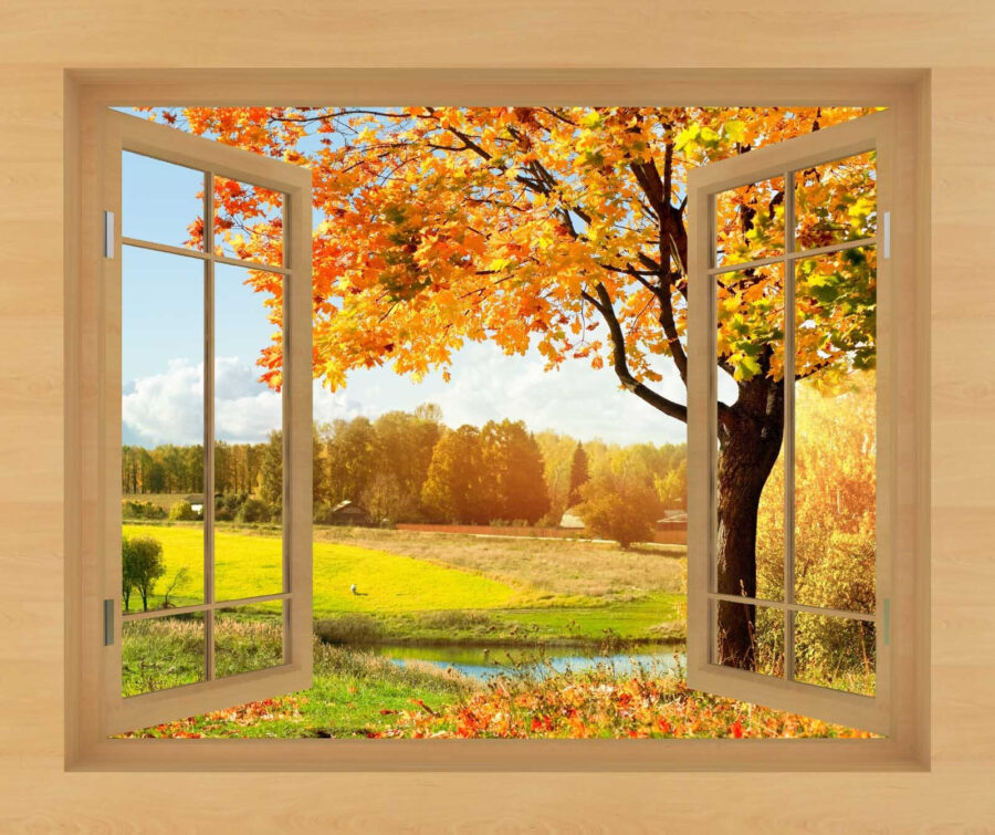Fenêtre avec arbres et rivière