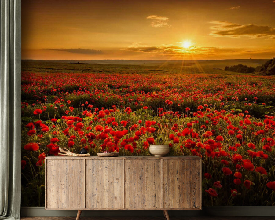 Champ de fleurs rouges