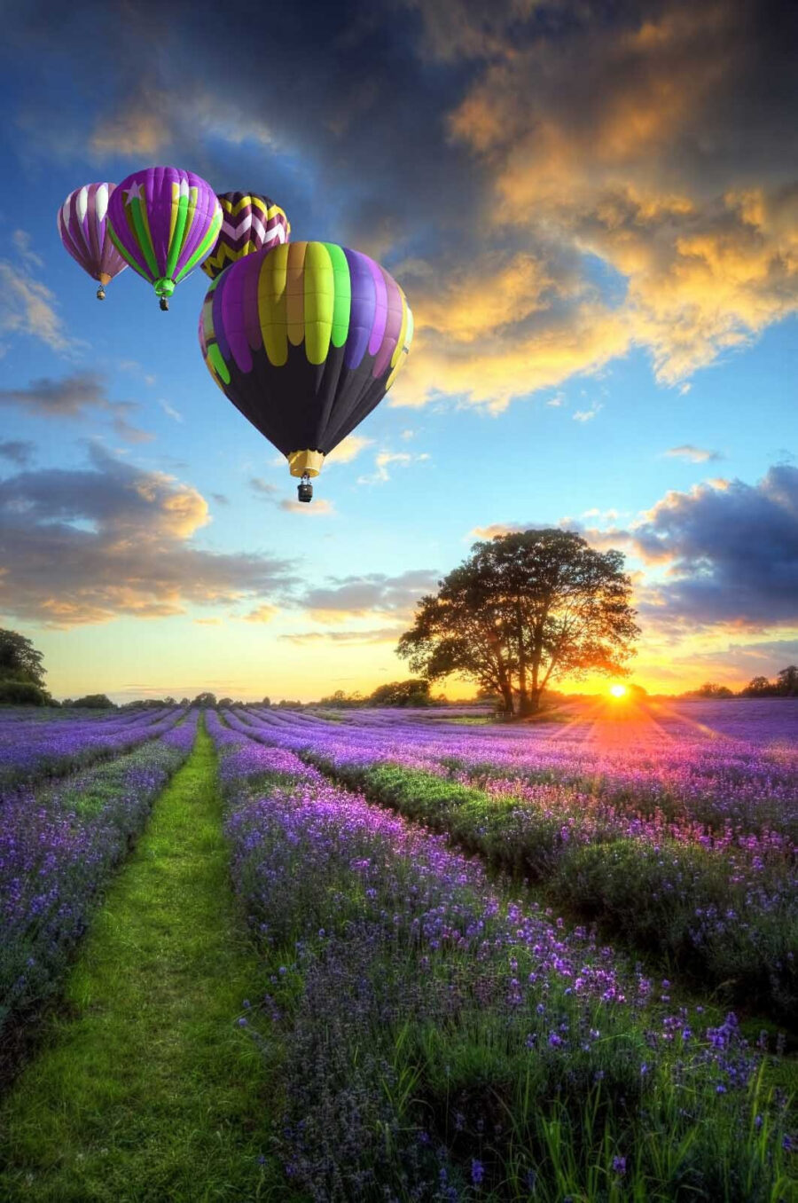 Groupe de montgolfières survolant un champ de fleurs