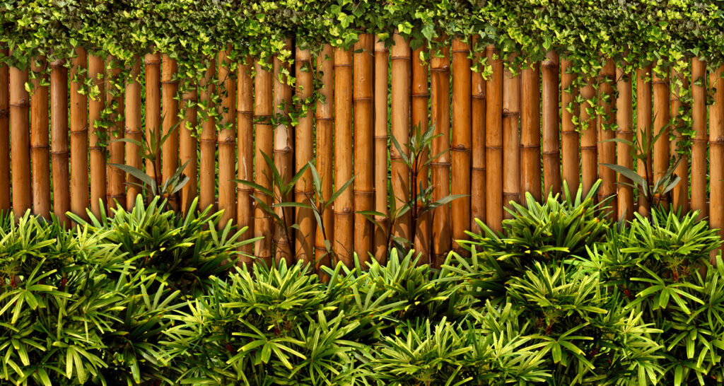 Clôture en bambou avec plantes Clôture en bambou avec plantes