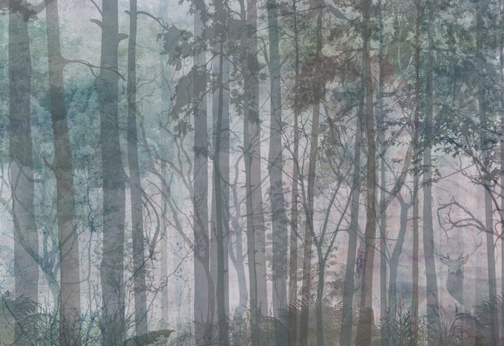 Group of trees in a forest Group of trees in a forest