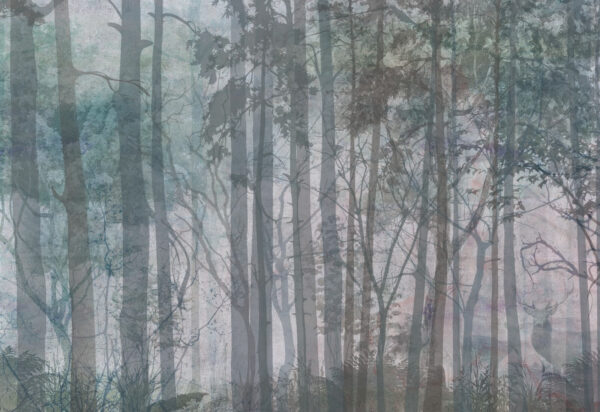 Group of trees in a forest Group of trees in a forest