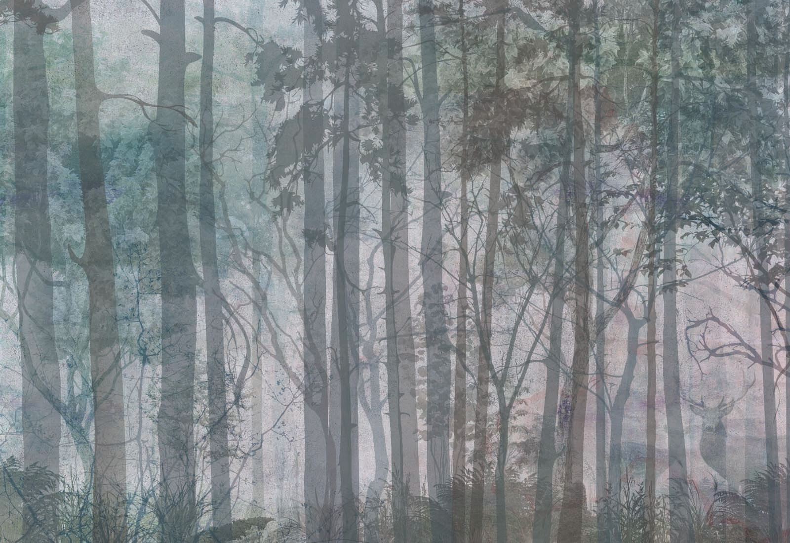 Group of trees in a forest Group of trees in a forest