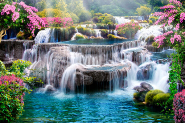 Cascade avec fleurs et arbres Cascade avec fleurs et arbres