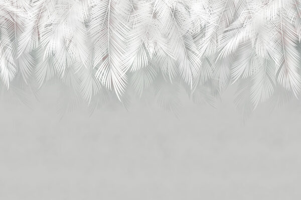 Motif de plumes blanches sur fond gris Motif de plumes blanches sur fond gris