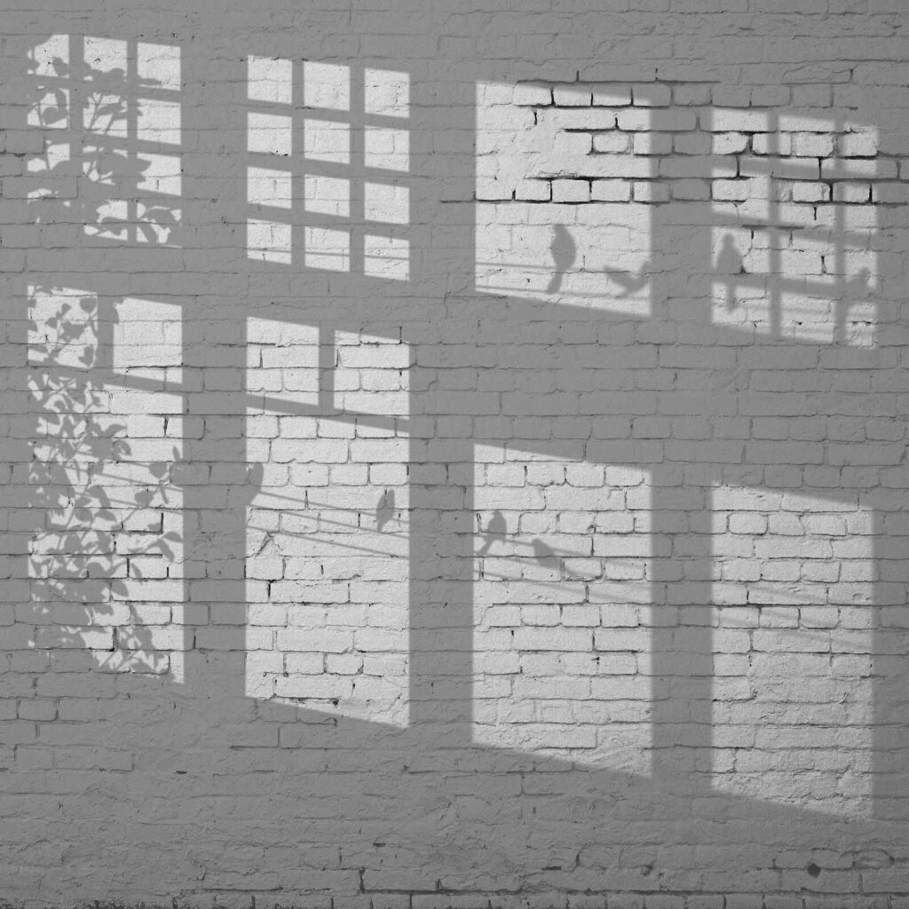 Mur avec fenêtres et ombre d'oiseaux u60229p 1024x1024 - Mur avec fenêtres et ombre d'oiseaux - tegory