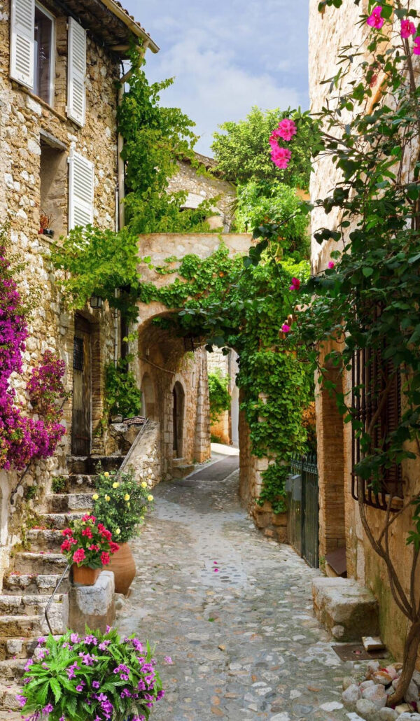 Allée en pierre avec fleurs et plantes Allée en pierre avec fleurs et plantes