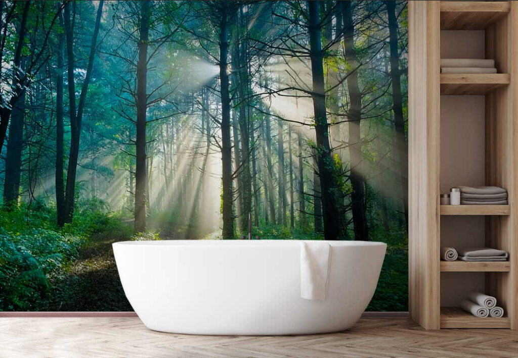 Le soleil brille à travers les arbres d'une forêt u70959pit1 1024x709 - Le soleil brille à travers les arbres d'une forêt - tegory