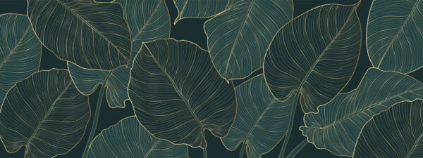 Feuilles élégantes aux détails complexes. Feuilles élégantes aux détails complexes.