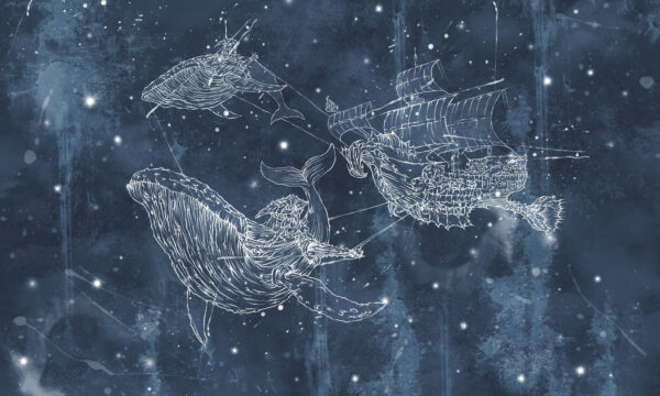 Dessin d'une baleine et d'un navire Dessin d'une baleine et d'un navire