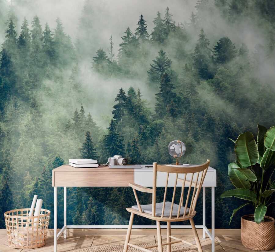 Forêt d'arbres avec brouillard