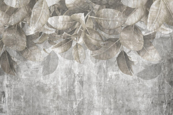Feuilles douces sur fond texturé u73887p 600x400 - Feuilles douces sur fond texturé - tegory