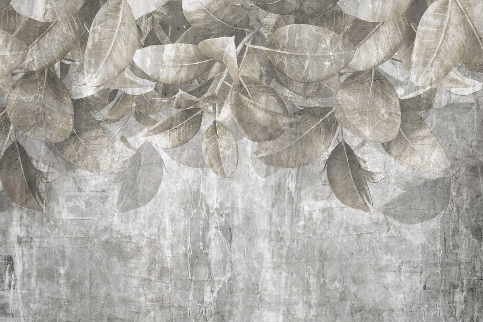 Feuilles douces sur fond texturé u73887p - Feuilles douces sur fond texturé - tegory