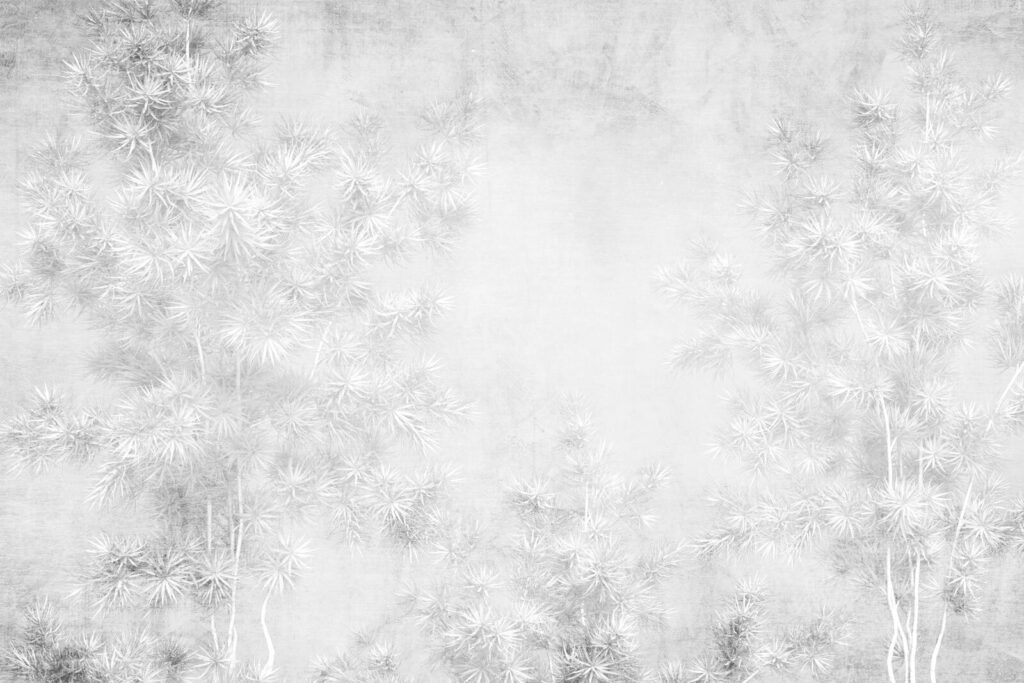 Fond blanc avec arbres Fond blanc avec arbres