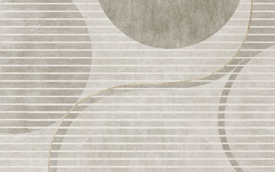 Papier peint gris et blanc avec des cercles et des lignes Papier peint gris et blanc avec des cercles et des lignes