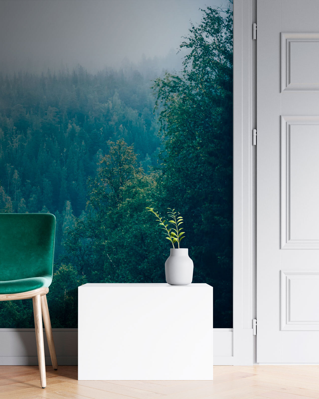 u74236pih1m - Forêt d'arbres avec brouillard - tegory