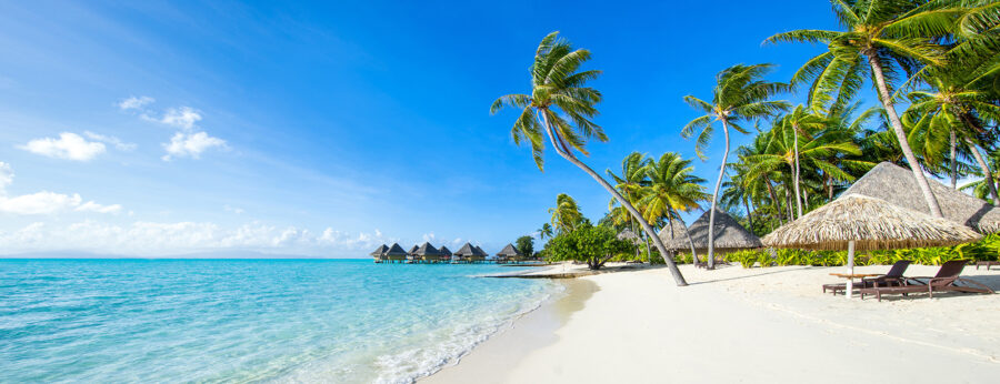 Plage avec palmiers et cabanes