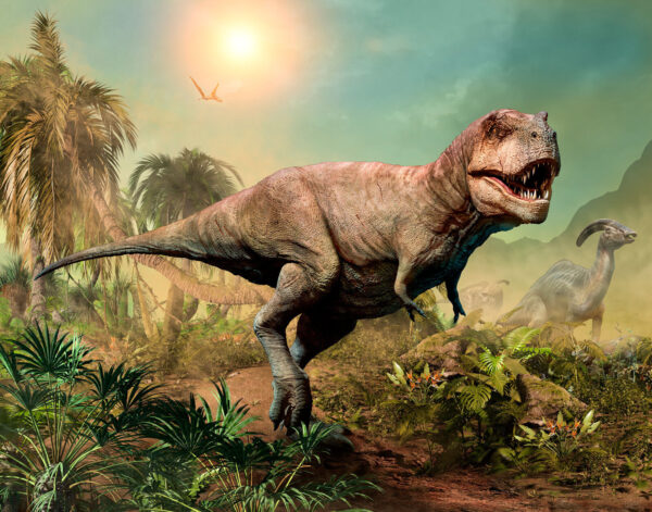Dinosaure dans la jungle Dinosaure dans la jungle