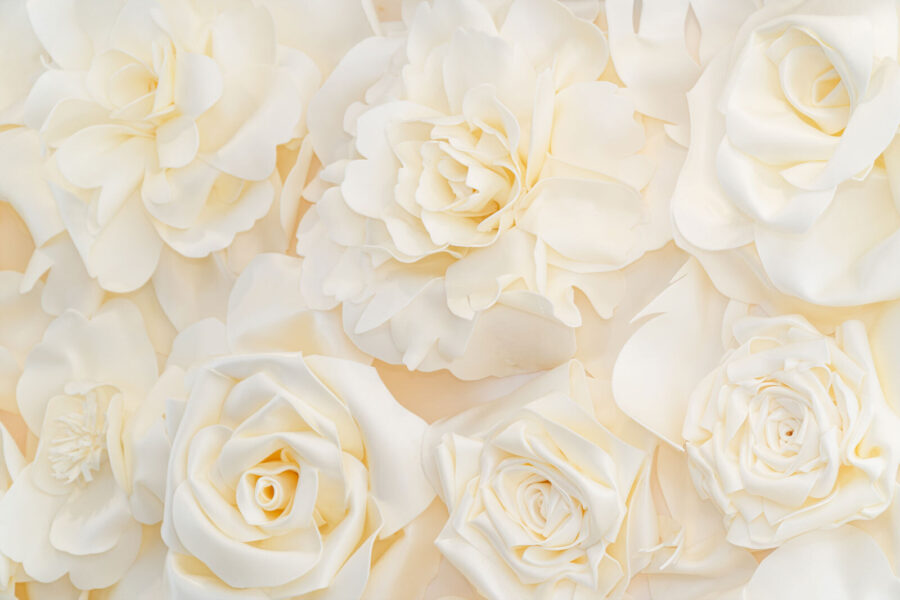 Groupe de fleurs blanches Groupe de fleurs blanches