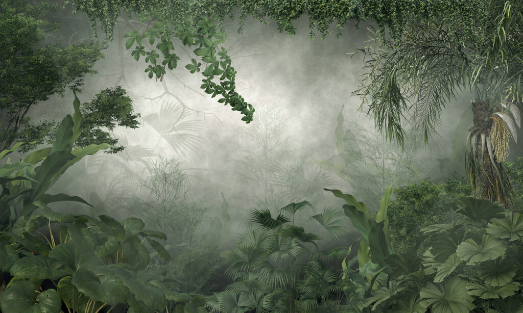 Forêt brumeuse avec plantes et arbres Forêt brumeuse avec plantes et arbres