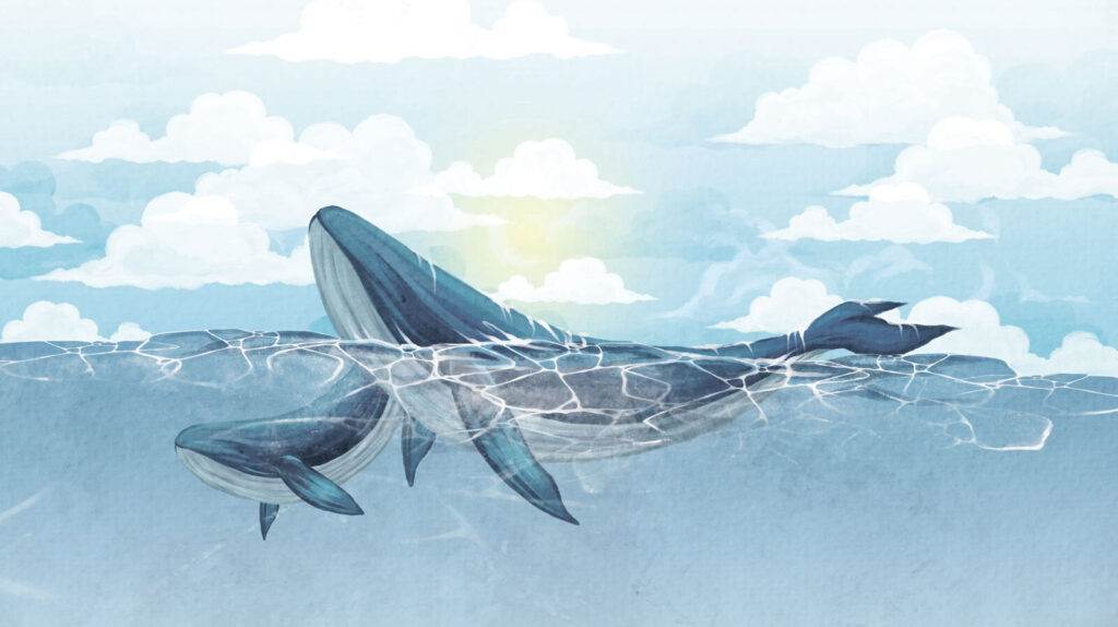 u74467p 1024x574 - Baleine nageant dans l'eau - tegory