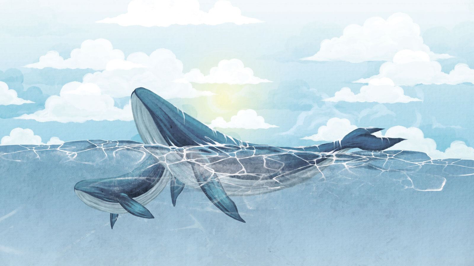 u74467p - Baleine nageant dans l'eau - tegory