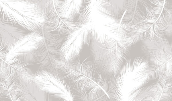 Plumes blanches sur fond gris Plumes blanches sur fond gris