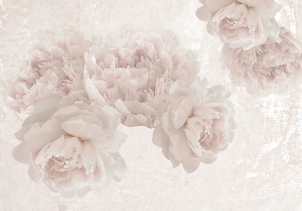 Groupe de fleurs blanches Groupe de fleurs blanches