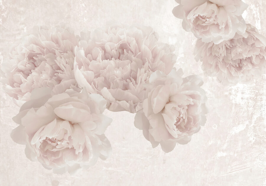 Groupe de fleurs blanches Groupe de fleurs blanches