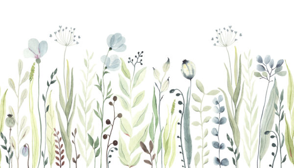 Aquarelle de fleurs et de feuilles Aquarelle de fleurs et de feuilles