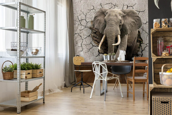 Un éléphant traversant un mur Un éléphant traversant un mur