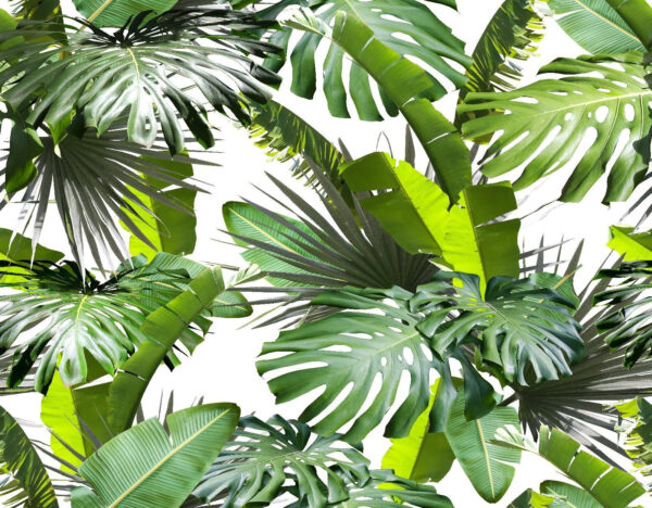 Groupe de feuilles vertes Groupe de feuilles vertes