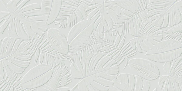 Fond blanc avec des feuilles Fond blanc avec des feuilles