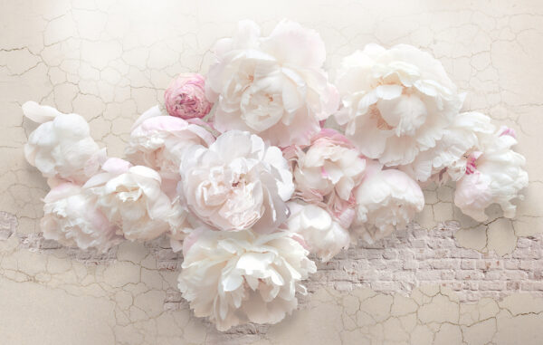 Groupe de fleurs blanches Groupe de fleurs blanches
