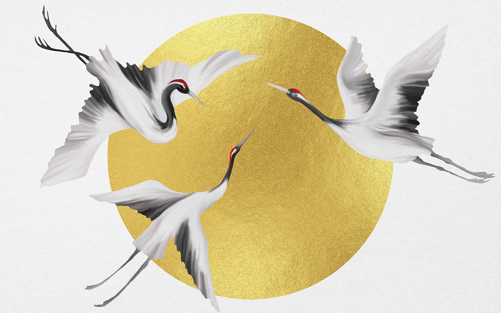 Group of birds flying in the air