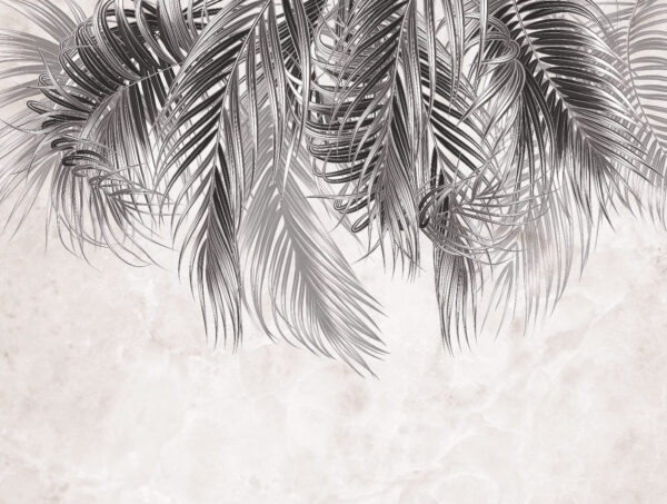 Feuilles de palmier élégantes sur fond clair u79639p 600x453 - Feuilles de palmier élégantes sur fond clair