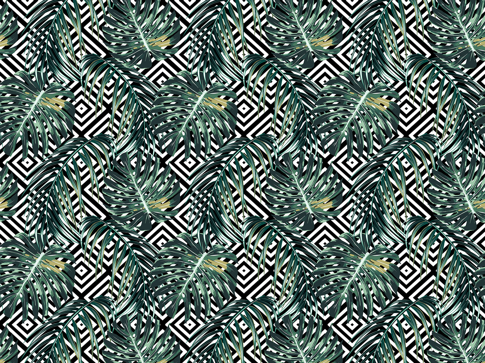 Motif de feuilles sur fond noir et blanc u79688p - Motif de feuilles sur fond noir et blanc - tegory
