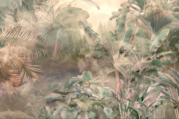 Forêt brumeuse avec arbres et plantes Forêt brumeuse avec arbres et plantes