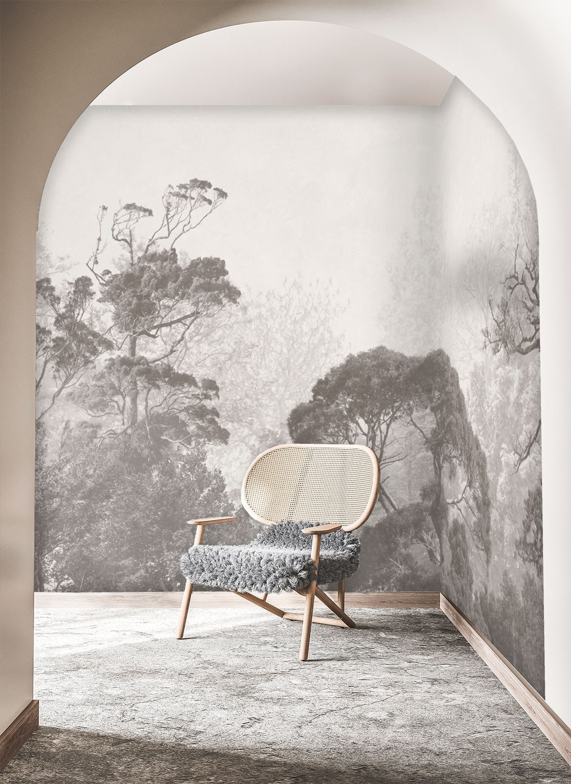 Group of trees in fog Group of trees in fog