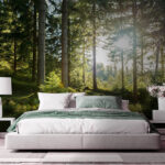 Papier peint Le soleil brille à travers les arbres