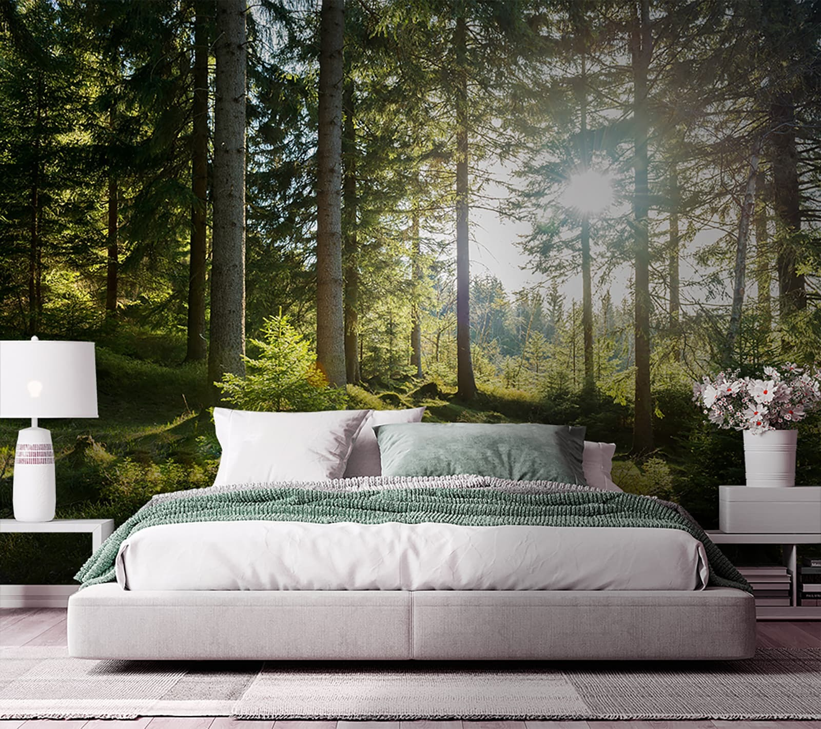 Sun shining through trees Sun shining through trees