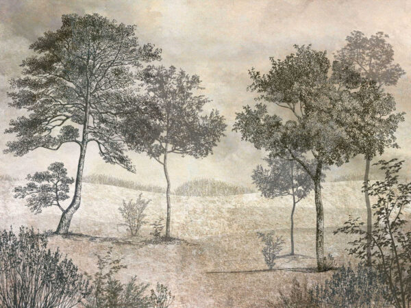 Dessin d'arbres dans un champ Dessin d'arbres dans un champ