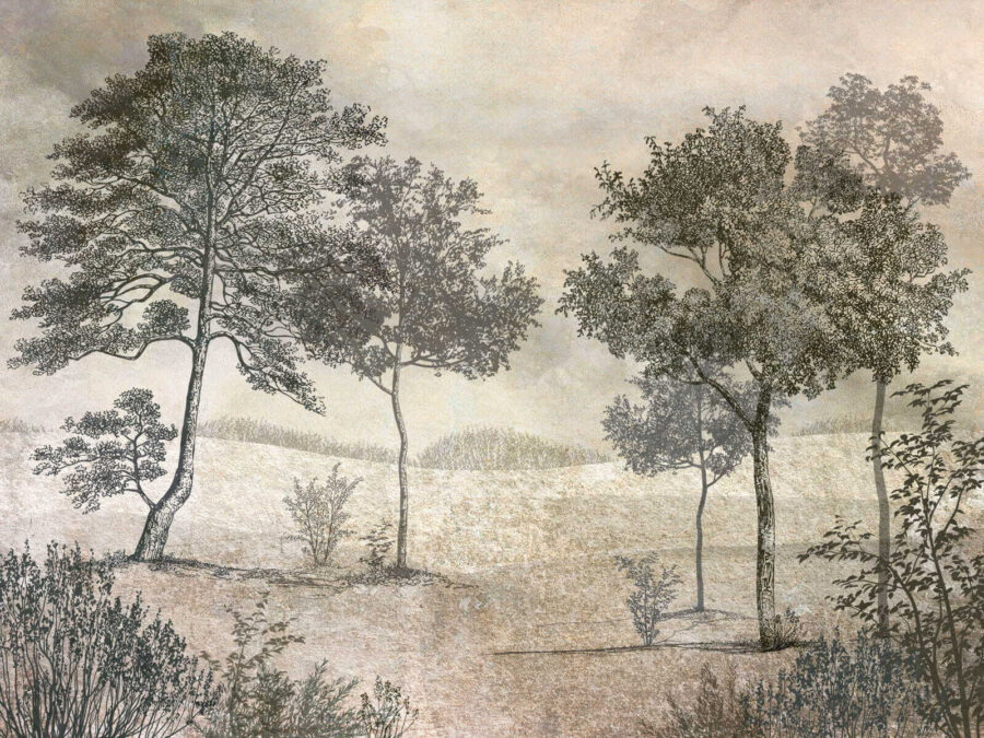 Dessin d'arbres dans un champ