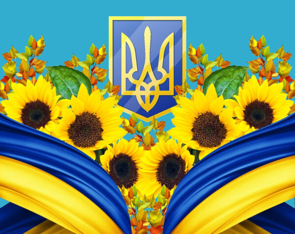 Groupe de tournesols et rideau bleu et jaune Groupe de tournesols et rideau bleu et jaune