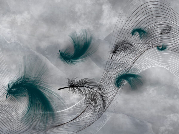 Élégants tourbillons de plumes fluides. Élégants tourbillons de plumes fluides.