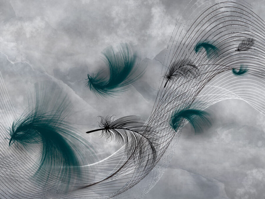 Élégants tourbillons de plumes fluides. Élégants tourbillons de plumes fluides.