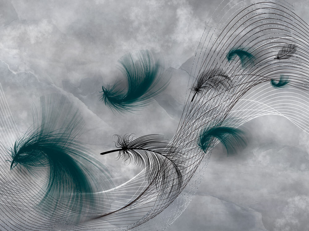 Élégants tourbillons de plumes fluides. Élégants tourbillons de plumes fluides.